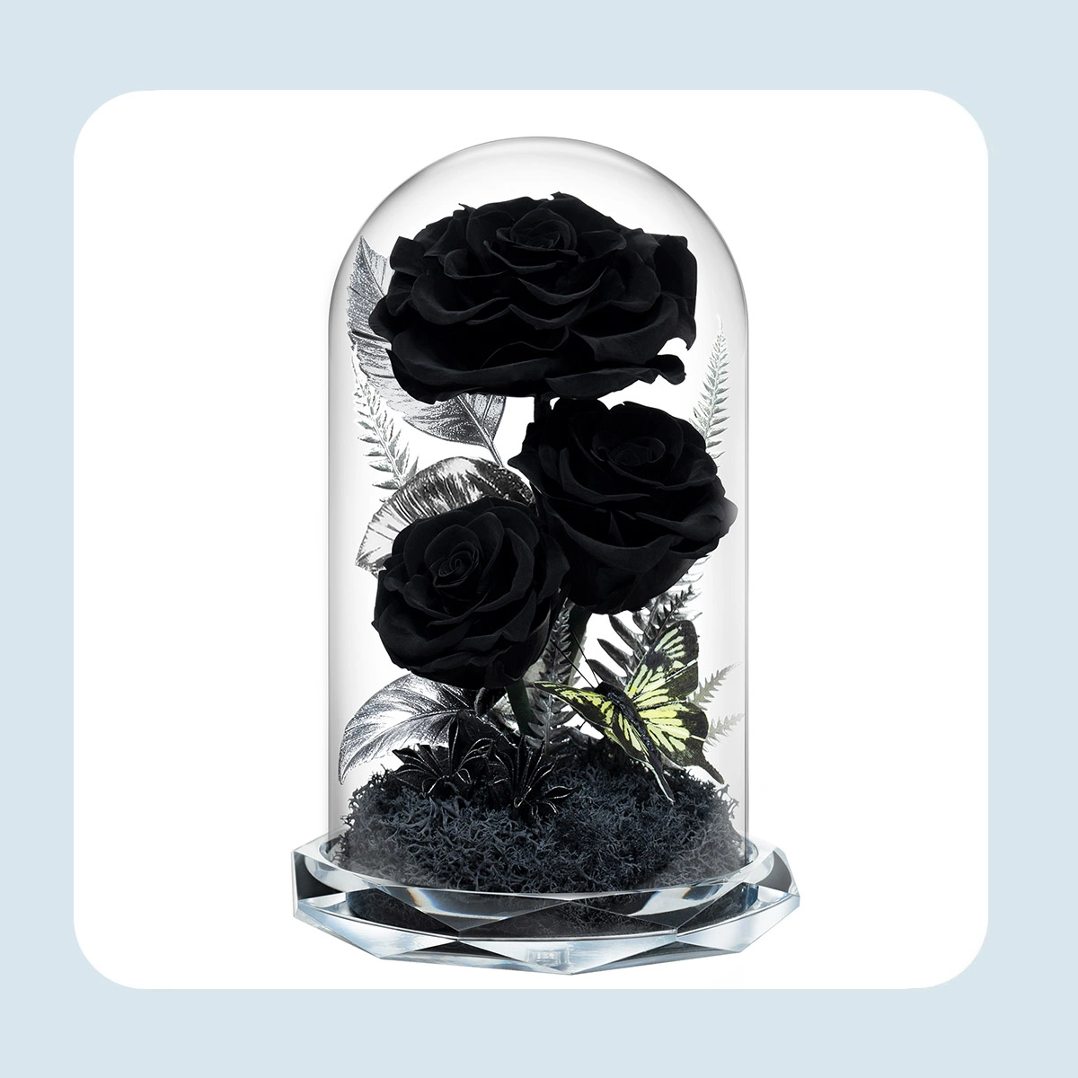 long lasting real flowers in glass dome 5