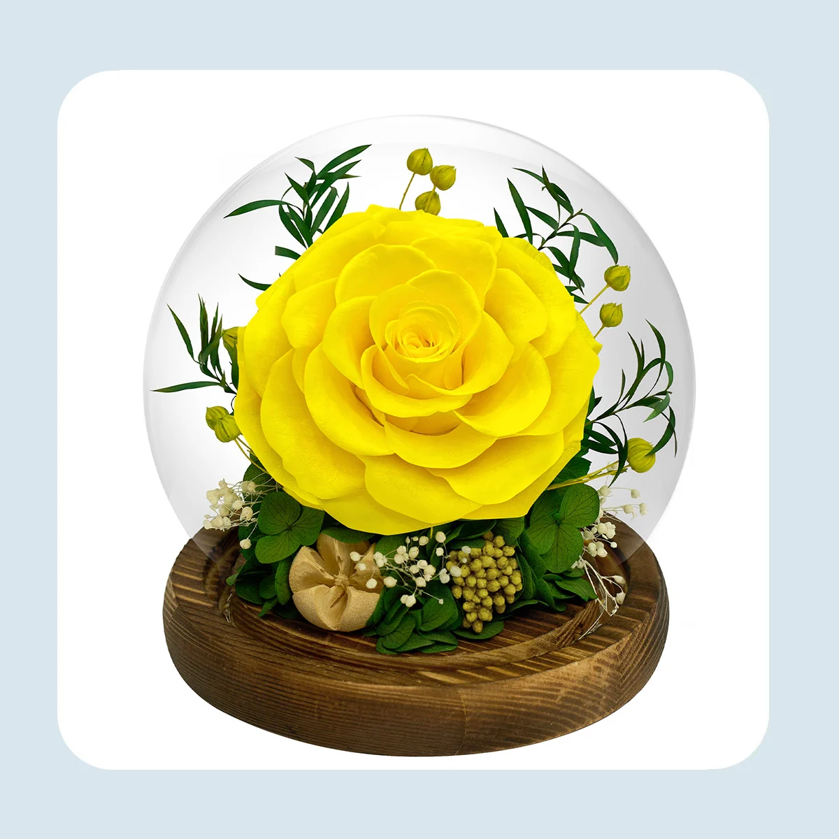 preserved flowers in glass dome 2
