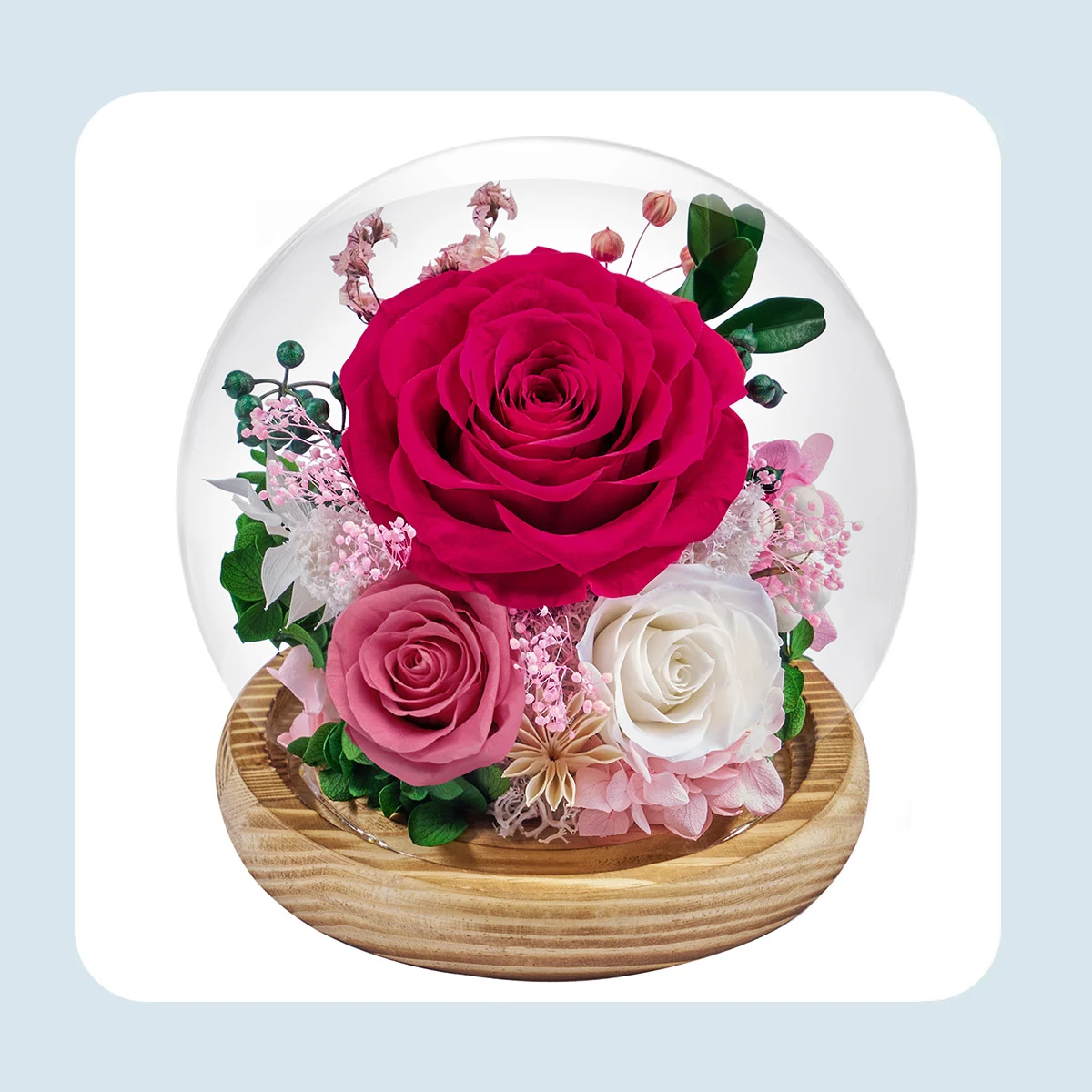 preserved flowers in glass dome 3