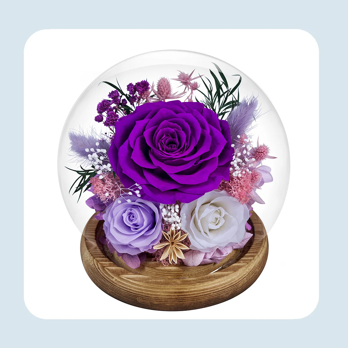 preserved flowers in glass dome 6