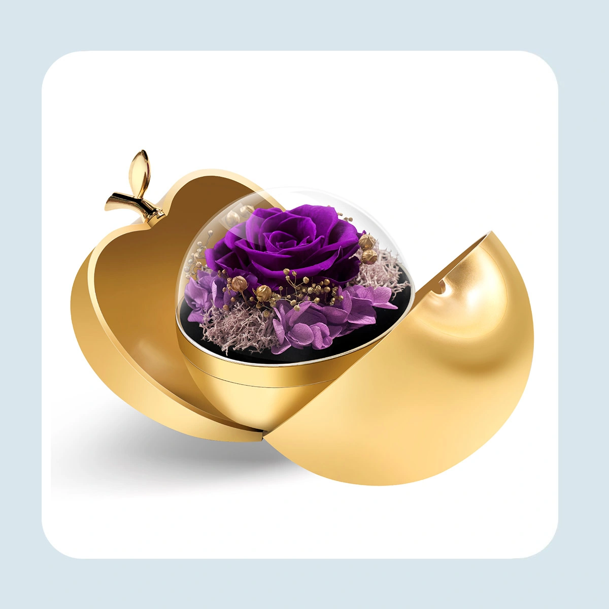 preserved real rose with necklace 1