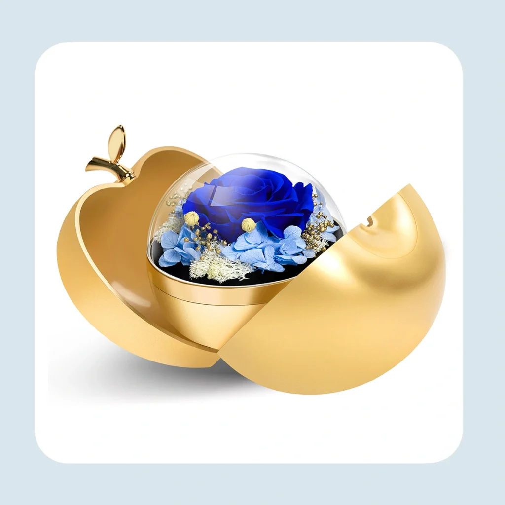 preserved real rose with necklace 3