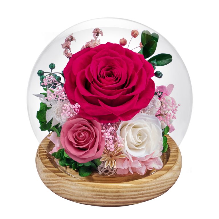 roses in glass