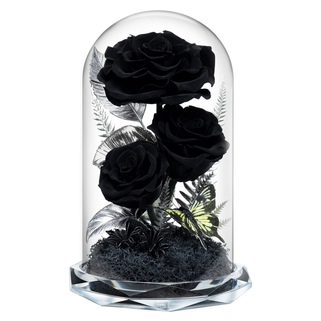 black rose in glass dome