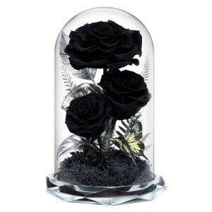 black rose in glass dome
