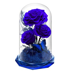 blue rose in glass dome