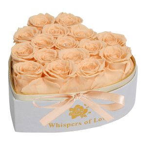 champ preserved roses in a box