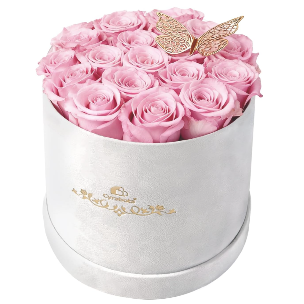 pink rose in a box