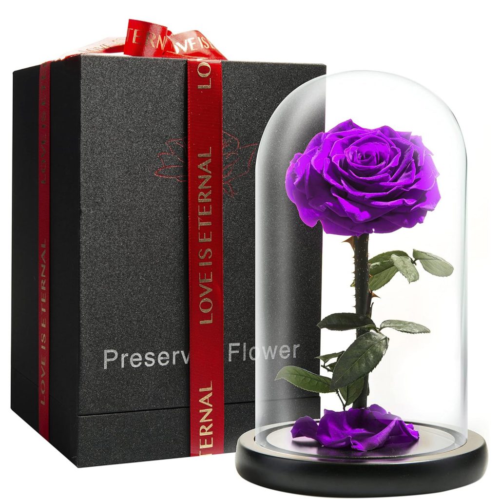purple rose in glass dome